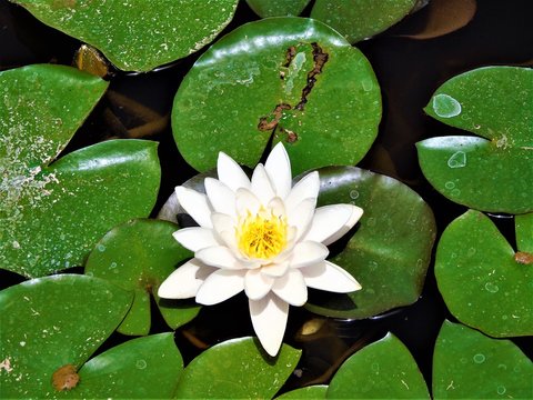 加拿大28彩票品牌信赖